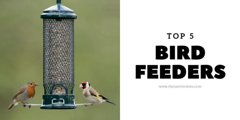top 5 bird feeders